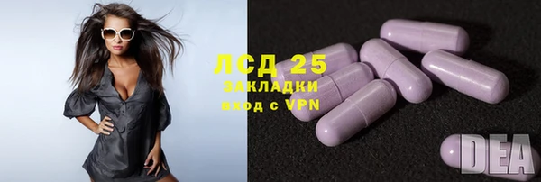 ГАЛЛЮЦИНОГЕННЫЕ ГРИБЫ Кодинск