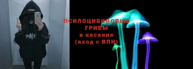 стаф Козельск