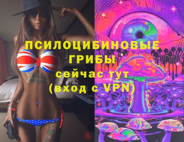 дживик Козловка