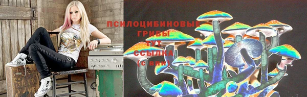 стаф Козельск
