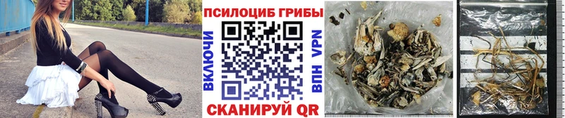Псилоцибиновые грибы ЛСД  Купить где  Ржев 