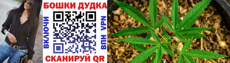 Купить закладки Ржев Марихуана White Widow